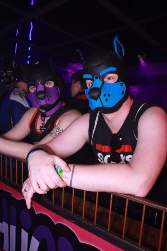 Puppy Licious - Cologne Pride