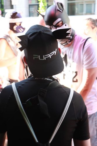 Puppy Pride Cologne - Pup Pub Crawl