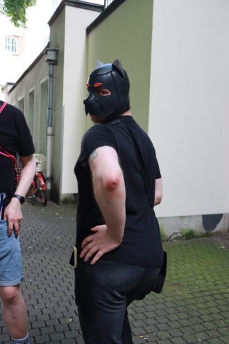 Puppy Pride Cologne 2026 - Thaly Tour