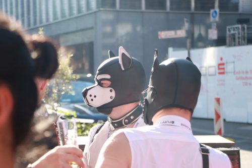Puppy Pride Cologne - Pup Pub Crawl