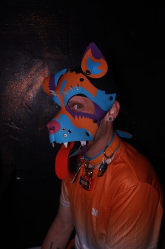 Puppy Peide Cologne 2026 - PuppyLicious