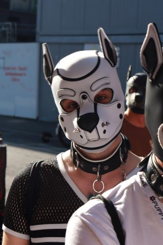 Puppy Pride Cologne - Pup Pub Crawl