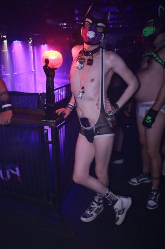 Puppy Peide Cologne 2026 - PuppyLicious
