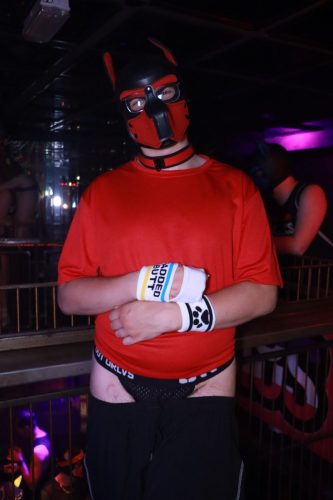 Puppy Licious - Cologne Pride