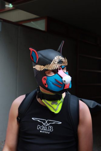 Puppy Pride Cologne 2026 - Thaly Tour