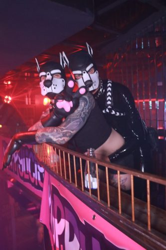 Puppy Peide Cologne 2026 - PuppyLicious