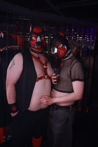 Puppy Peide Cologne 2026 - PuppyLicious