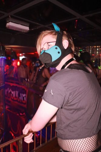 Puppy Licious - Cologne Pride