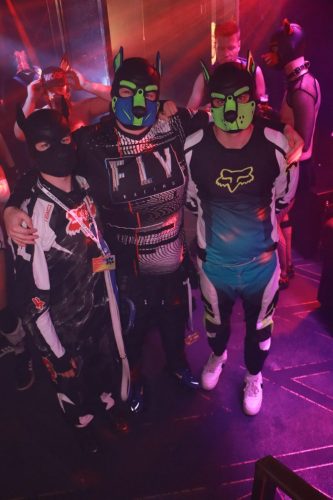 Puppy Peide Cologne 2026 - PuppyLicious