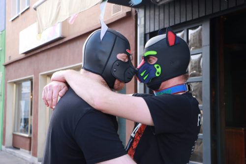 Puppy Pride Cologne 2026 - Thaly Tour