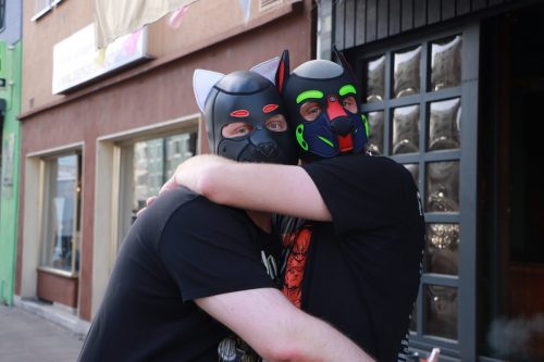 Puppy Pride Cologne 2026 - Thaly Tour