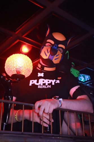 Puppy Licious - Cologne Pride