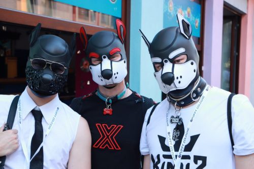 Puppy Pride Cologne - Pup Pub Crawl