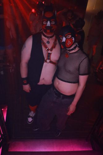 Puppy Peide Cologne 2026 - PuppyLicious
