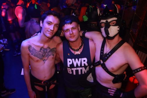 Puppy Licious - Cologne Pride