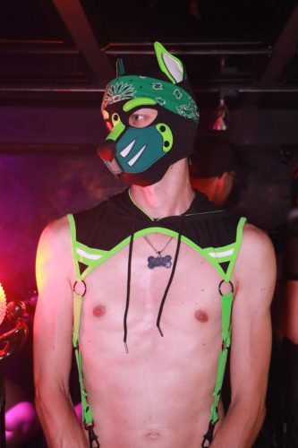 Puppy Licious - Cologne Pride