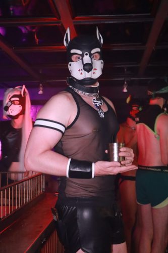 Puppy Licious - Cologne Pride