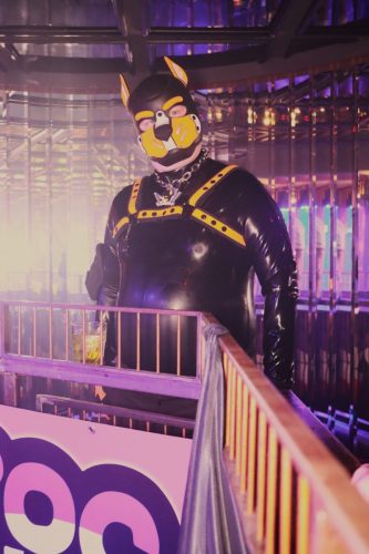 Puppy Peide Cologne 2026 - PuppyLicious