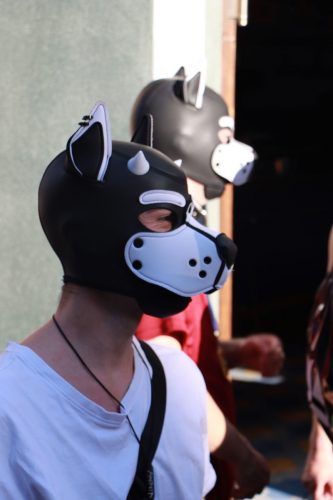 Puppy Pride Cologne - Pup Pub Crawl