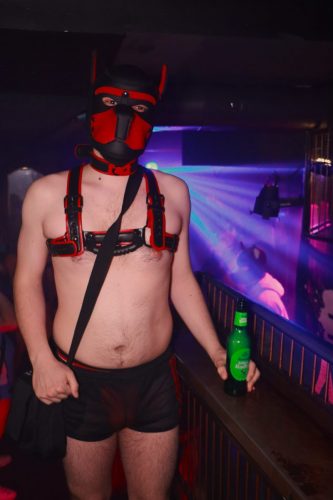 Puppy Peide Cologne 2026 - PuppyLicious
