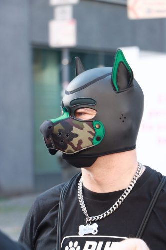 Puppy Pride Cologne - Pup Pub Crawl