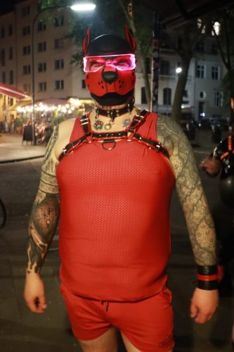 Puppy Peide Cologne 2026 - PuppyLicious