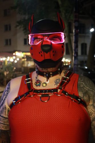 Puppy Peide Cologne 2026 - PuppyLicious
