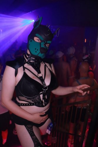 Puppy Licious - Cologne Pride