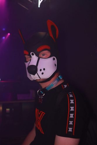 Puppy Pride Cologne - Pup Pub Crawl