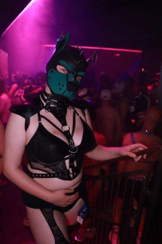 Puppy Licious - Cologne Pride