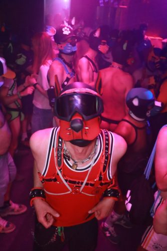 Puppy Licious - Cologne Pride
