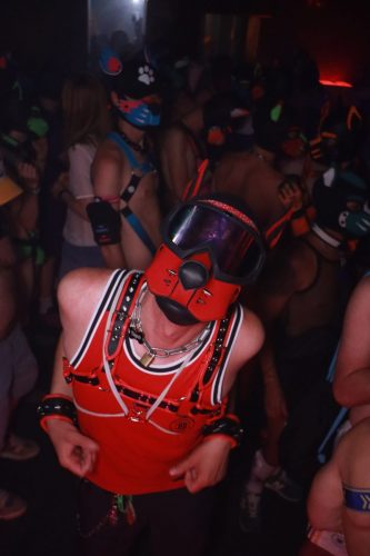 Puppy Licious - Cologne Pride