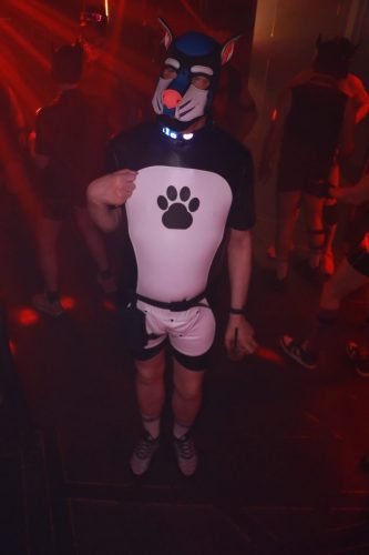 Puppy Peide Cologne 2026 - PuppyLicious