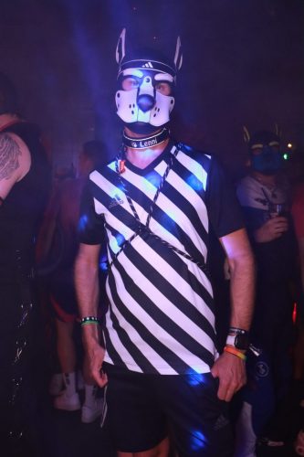 Puppy Licious - Cologne Pride