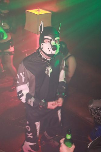 Puppy Peide Cologne 2026 - PuppyLicious