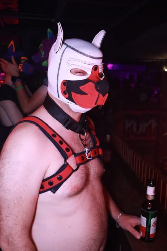 Puppy Licious - Cologne Pride