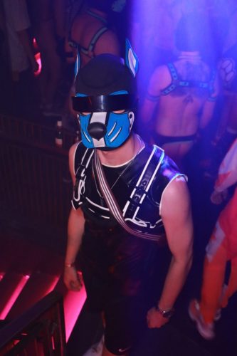 Puppy Licious - Cologne Pride