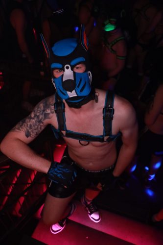 Puppy Licious - Cologne Pride