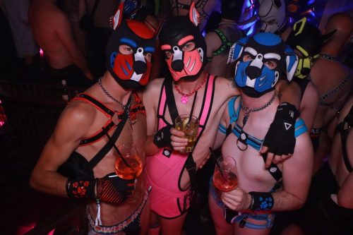 Puppy Licious - Cologne Pride
