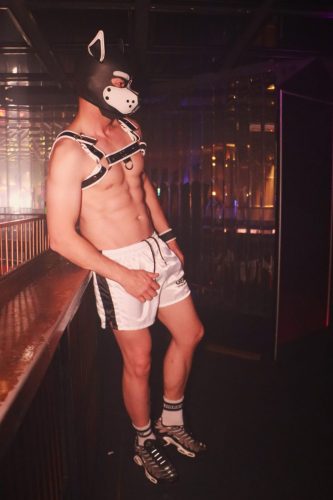 Puppy Peide Cologne 2026 - PuppyLicious