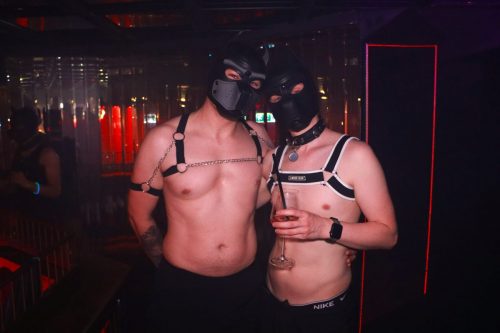 Puppy Peide Cologne 2026 - PuppyLicious