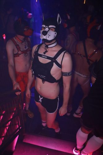 Puppy Licious - Cologne Pride