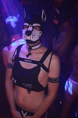 Puppy Licious - Cologne Pride