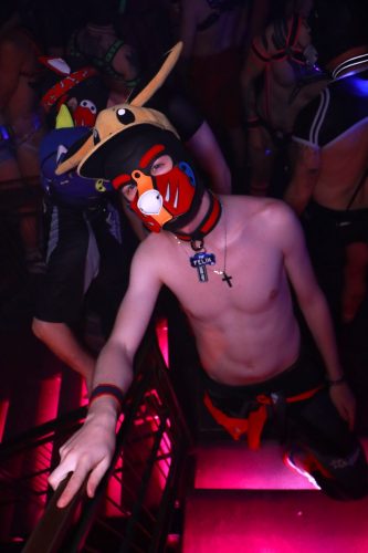 Puppy Licious - Cologne Pride