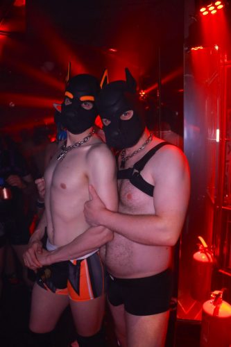 Puppy Peide Cologne 2026 - PuppyLicious