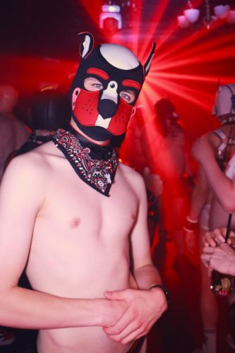 Puppy Peide Cologne 2026 - PuppyLicious