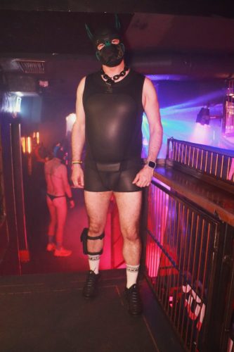 Puppy Peide Cologne 2026 - PuppyLicious