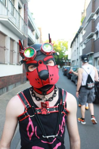 Puppy Pride Cologne - Pup Pub Crawl
