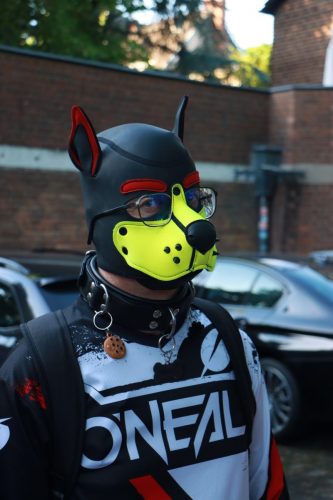 Puppy Pride Cologne - Pup Pub Crawl
