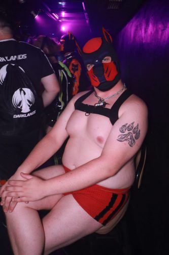 Puppy Licious - Cologne Pride